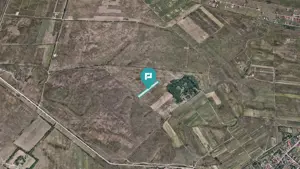 Teren extravilan de 10.000 mp