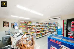 Vanzare Proprietate mixta si Afacere la cheie in Sat Costi, Jud.Galati, sup. teren 400mp - imagine 13