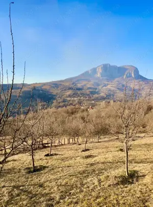 Vand teren cu livezi Buces-Vulcan - imagine 8