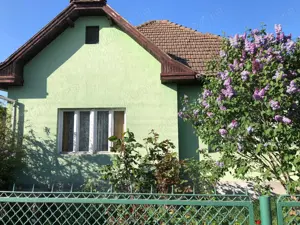 Teren si casa de vanzare - 1969mp