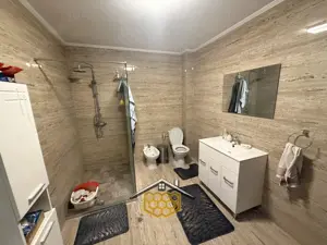 Casa P+1+Pod in Lapus, Craiova - imagine 9