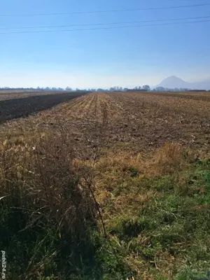 Vand teren - imagine 2