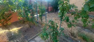 Casa cu teren 710 mp, Victor Hugo Fratelia