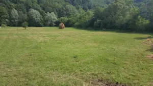 Vand teren in Vața de Jos, Jud. Hunedoara - imagine 2