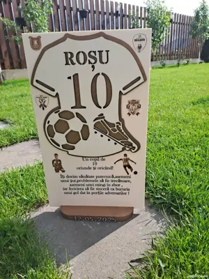 trofeu si suport medalii fotbal