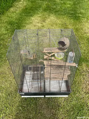 Doua custi animale mici