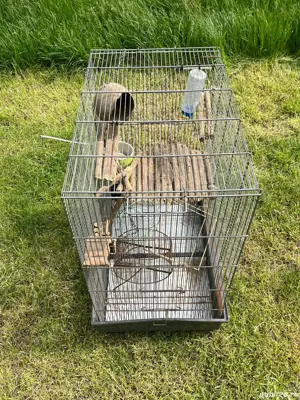 Doua custi animale mici - imagine 2 Doua custi animale mici - imagine 2