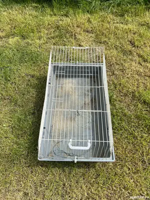 Doua custi animale mici - imagine 5 Doua custi animale mici - imagine 5