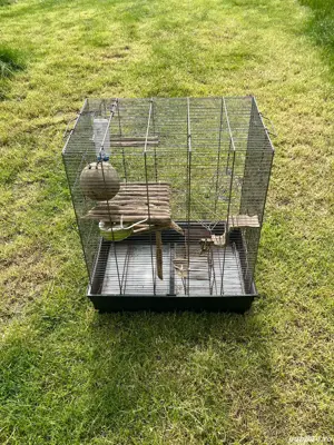 Doua custi animale mici - imagine 3 Doua custi animale mici - imagine 3