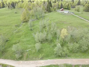 vand teren Cheia Buzoianu - imagine 3