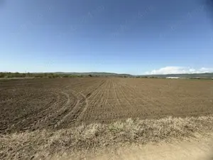 Teren Vernesti DN10 23800mp Parcelabil  7E mp Negociabil  - imagine 2