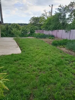 Vand casa in Barsanesti, judetul Botosani, teren 3868 mp - imagine 8