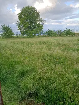 Vand casa in Barsanesti, judetul Botosani, teren 3868 mp - imagine 7