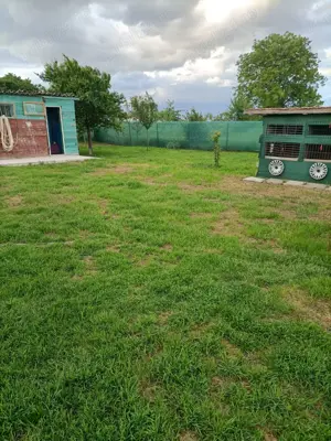 Vand casa in Barsanesti, judetul Botosani, teren 3868 mp - imagine 9