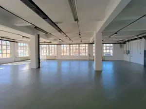 Vatra luminoasa Iancului - imagine 9