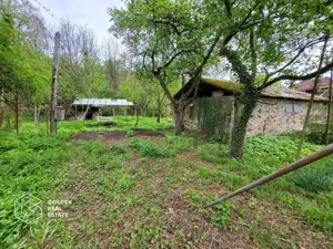 Casa de vacanta Baratca, comuna Paulis - imagine 6