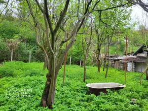 Casa de vacanta Baratca, comuna Paulis - imagine 10