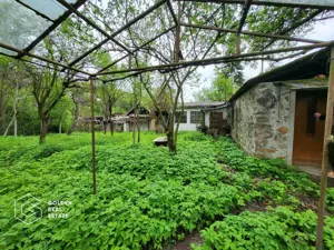 Casa de vacanta Baratca, comuna Paulis - imagine 8