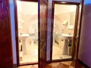 Pensiune cu 13 camere de vânzare in Bulz - imagine 19