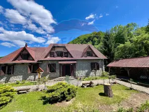 Pensiune cu 13 camere de vânzare in Bulz - imagine 3