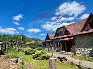 Pensiune cu 13 camere de vânzare in Bulz - imagine 4