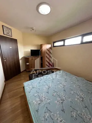 Casa individuala in Giroc in vatra satului - imagine 13