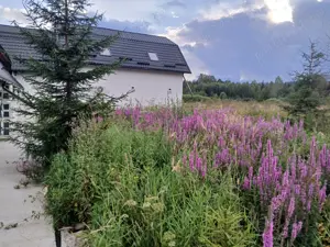 Cazare Vatra Dornei, Bucovina - Bucovina Resort & Spa Terapeutic - imagine 3