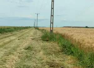 Agricol 10ha Timiș Comasate Agricol 20 ha