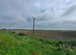 Agricol 10ha Timiș Comasate Agricol 20 ha - imagine 2