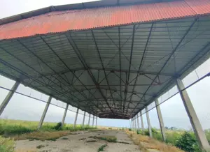 Agricol 10ha Timiș Comasate Agricol 20 ha - imagine 5