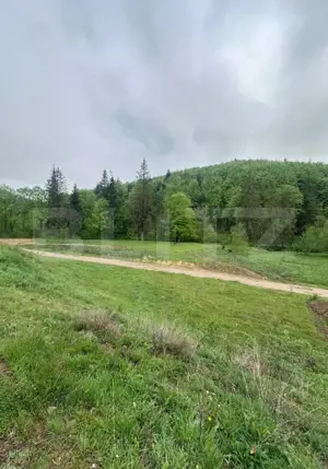 Teren intravilan 20.000 mp, zona Soarecului, Marginea