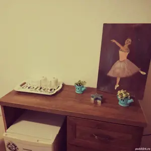 Camere de inchiriat central