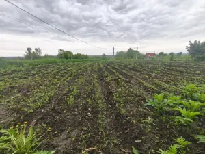 2 Case + 1600 mp Teren, zona centrala Balinesti, Siret - imagine 8