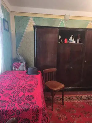 2 Case + 1600 mp Teren, zona centrala Balinesti, Siret - imagine 11