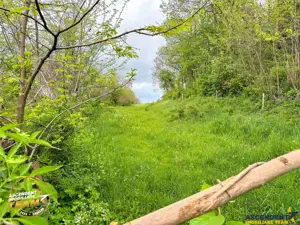 FILM! Teren intravilan,  6.500 mp, Papauti, Covasna - imagine 5