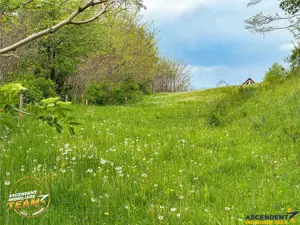 FILM! Teren intravilan,  6.500 mp, Papauti, Covasna - imagine 2