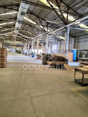 Hala in curs de Renovare-Calea Baciului-Suprafete intre 300-800 mp - imagine 4