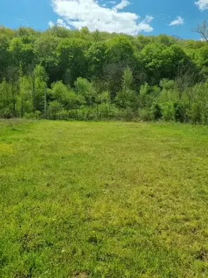 Vand teren Tisau jud Buzau