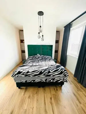 Zona noul LIDL - triplex mobilat utilat - bucatarie inchisa - 2 fronturi stradale - asfalt - canaliz - imagine 12