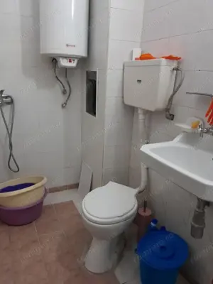 Apartament 1 camera Buziasului  - imagine 3