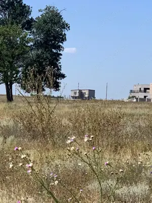 Teren intravilan Constanta Statiunea Techirghiol - imagine 4