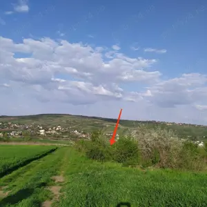 Vând teren in viile SOROGARI - imagine 2 Vând teren in viile SOROGARI - imagine 2