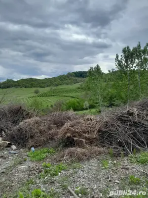 OCAZIE, Posibil plata în rate, Teren Breaza Prahova - imagine 9