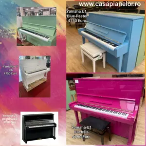 Pianine si piane cu coada Yamaha, Perzina, Steinberg, Kawai