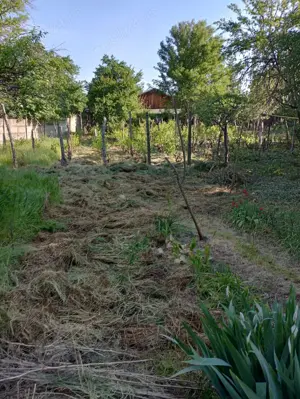 Casa de vanzare 3 camere - imagine 10