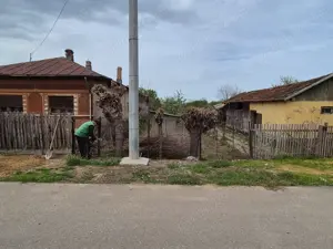 Vând teren 800 m Herasti-Giurgiu - imagine 2