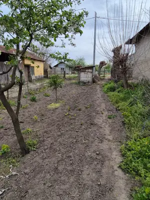 Vând teren 800 m Herasti-Giurgiu - imagine 7