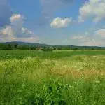 Teren in Urleta,intravilan industrial - imagine 3