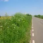 Teren in Urleta,intravilan industrial - imagine 2