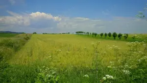 Teren in Urleta,intravilan industrial